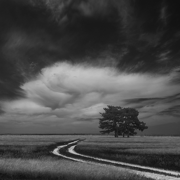 © Yury Bird - Roads