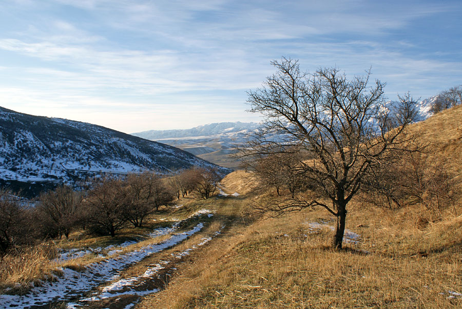 © Anvar Khodzaniyazov - Ранняя зима