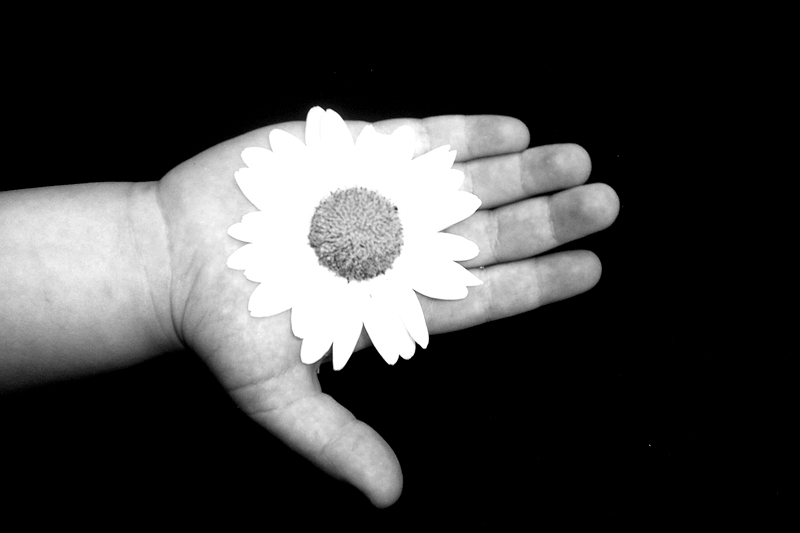 © Marina Khasan - рука ребенка с цветком