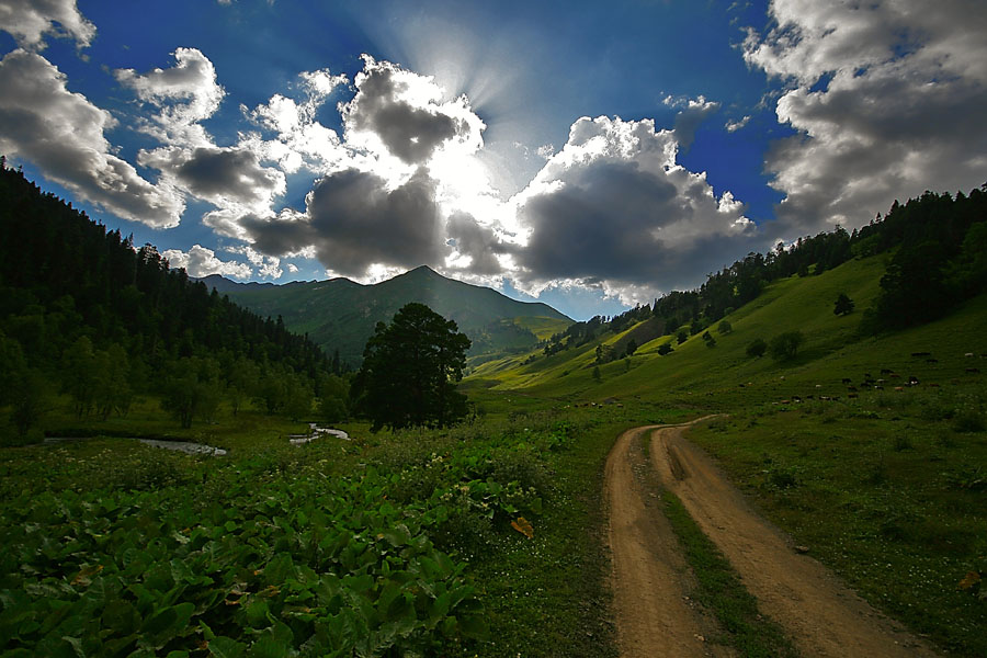 © alexej pavelchak - The Road to Mountains