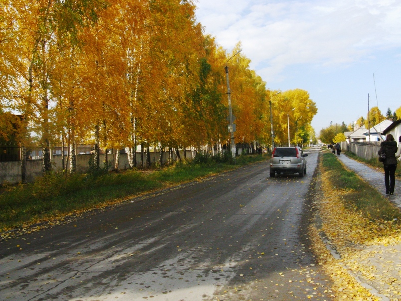 © Anna Bukina - AUTUMN ROAD