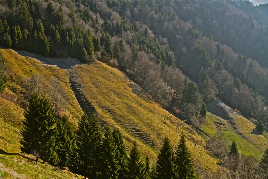 © Kate Velichko - wrinkles of slopes/ морщинки склонов