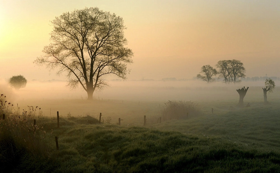 © johny hemelsoen - This morning.