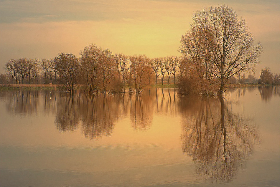 © johny hemelsoen - Flood.