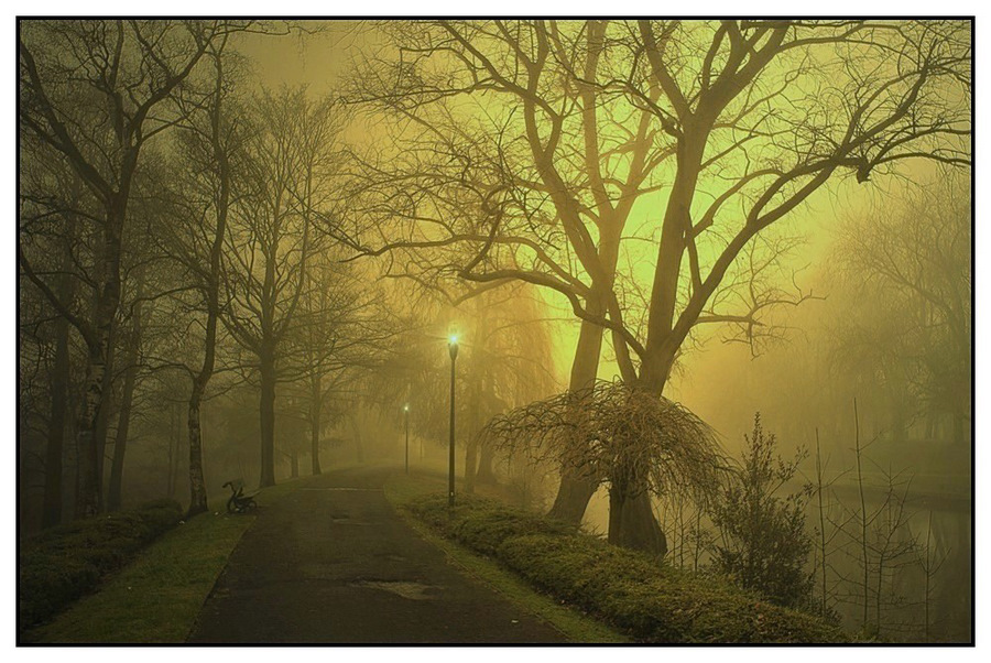 © johny hemelsoen - Golden morning.