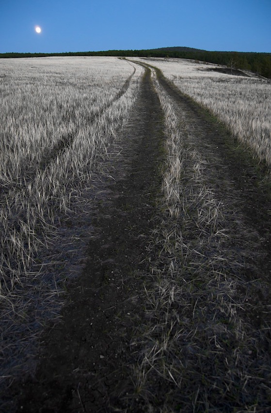 © Alexander Botvinkin - Night Road