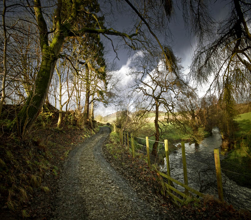 © Arnold Ochman - Walking