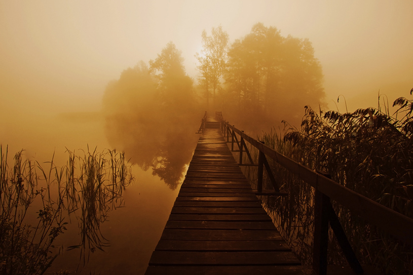 © Magdalena Szurek - ....in the fog