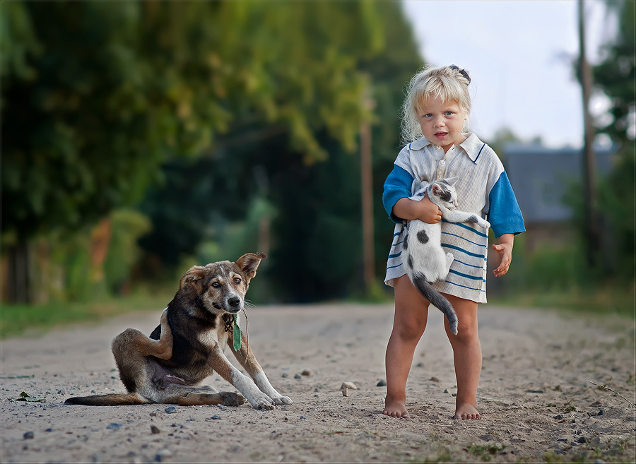 © Alex Vasilevsky - about a little girl, dog and kitten