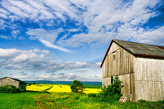 © Jean-Francois Dupuis - Barn