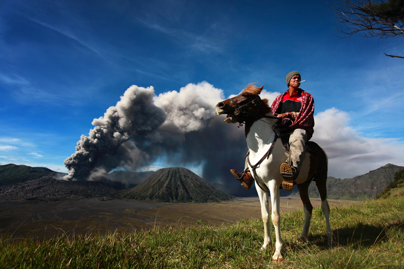 © perak man - Bromo's Horseman