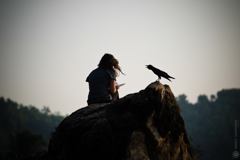 © Andrey Yaremchuk - reading and raven