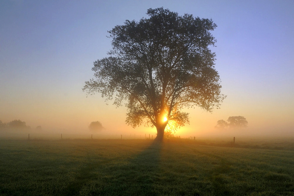 © johny hemelsoen - Dawn this morning.