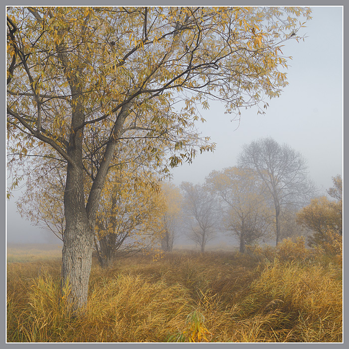 © Валентин Усванов - Сентябрь.