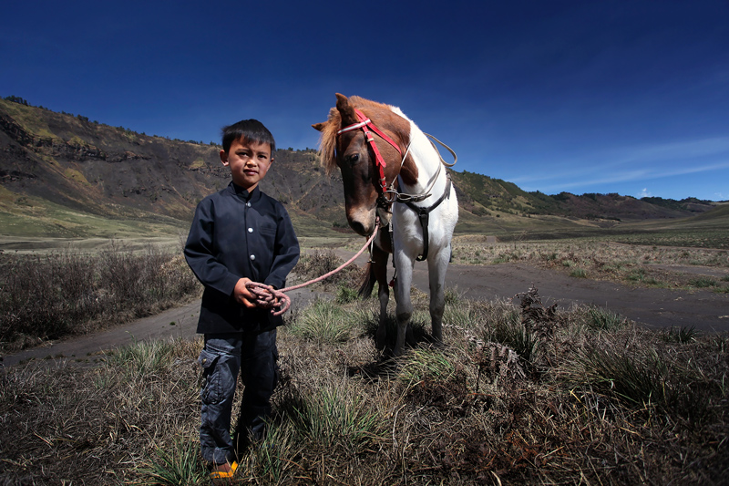 © perak man - Bromo's Kid