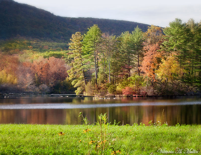 © Viktoria Mullin - near Bear Mount, state New York