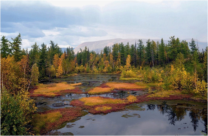 © Vladimir Podtikhov - autumn