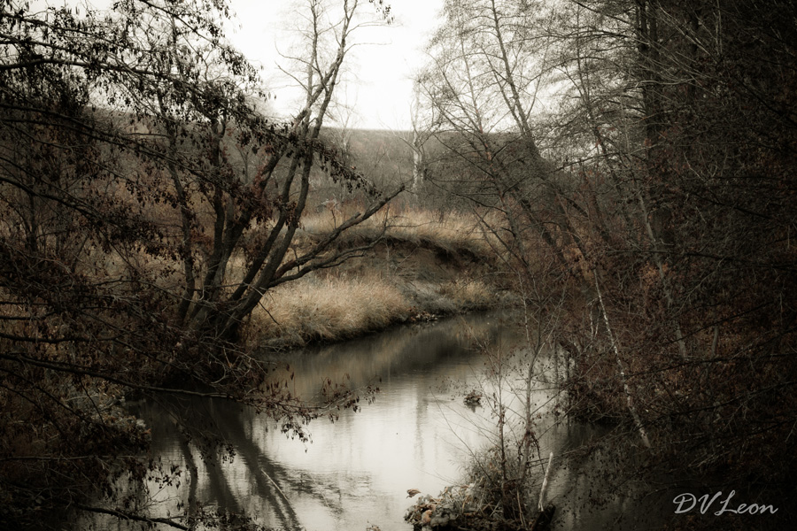 © Dmitriy Leontyev - Legends of autumn (Легенды осени)