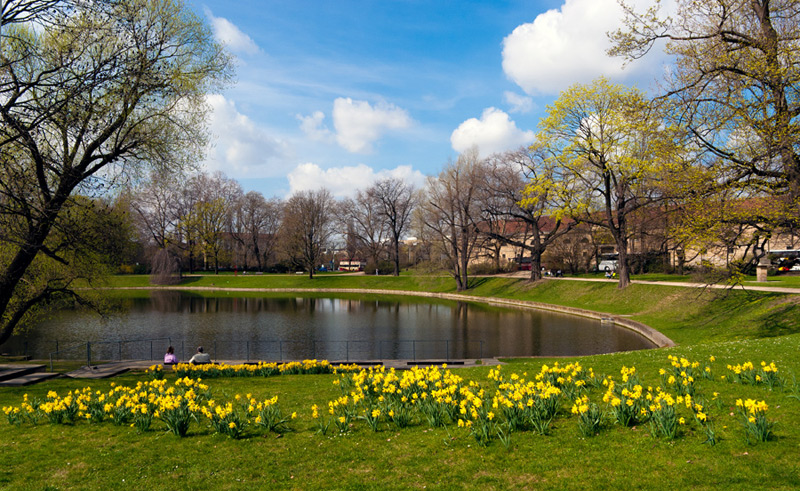 © Oleg Milyutin - Dresden in spring time