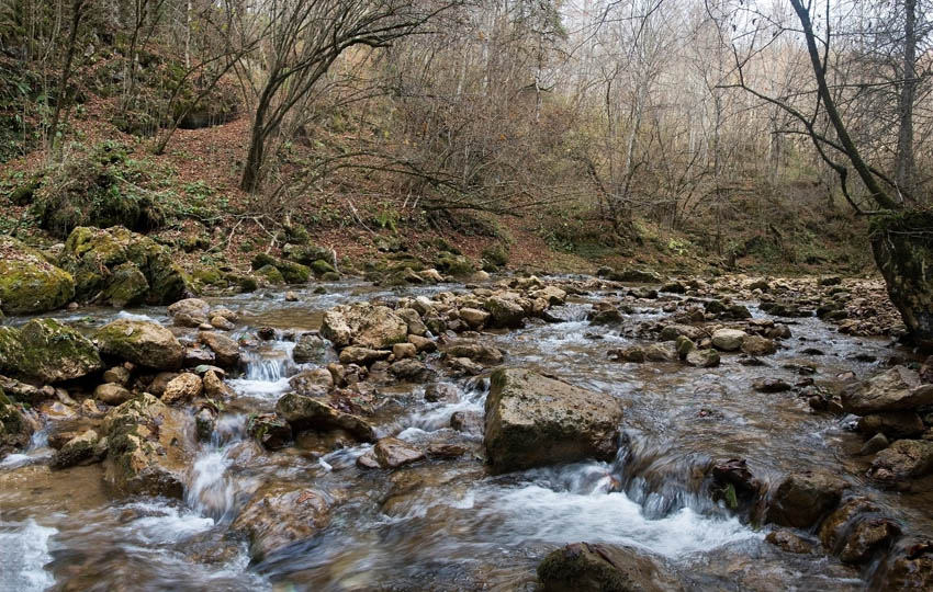 © alexej pavelchak - Autumn on Mezmay river