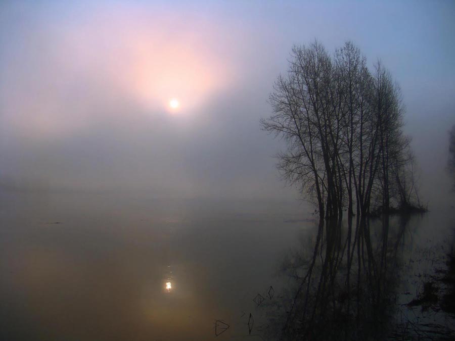 © Александр Шадраков - АПРЕЛЬ.БОЛЬШАЯ ВОДА