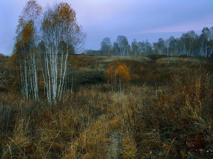 © Александр Шадраков - ОСЕНЬ