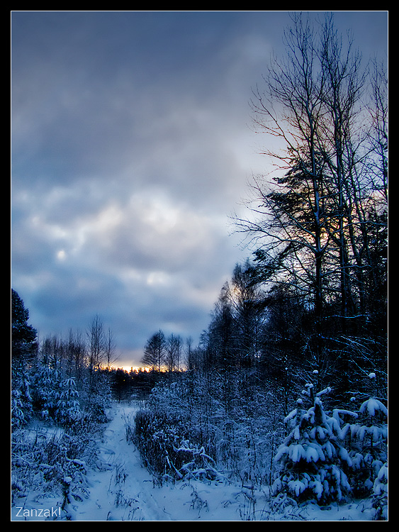 © Vadim Bocharov - Winter morning