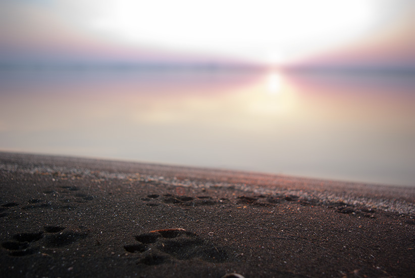 © Tencho Petkov - Footprints in the Sand