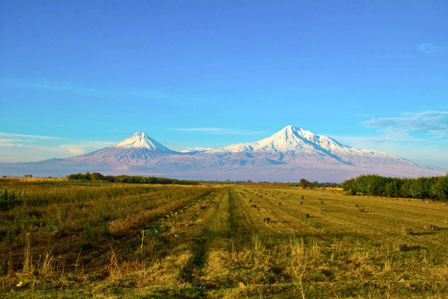 © Alex Tarverdi - Ararat