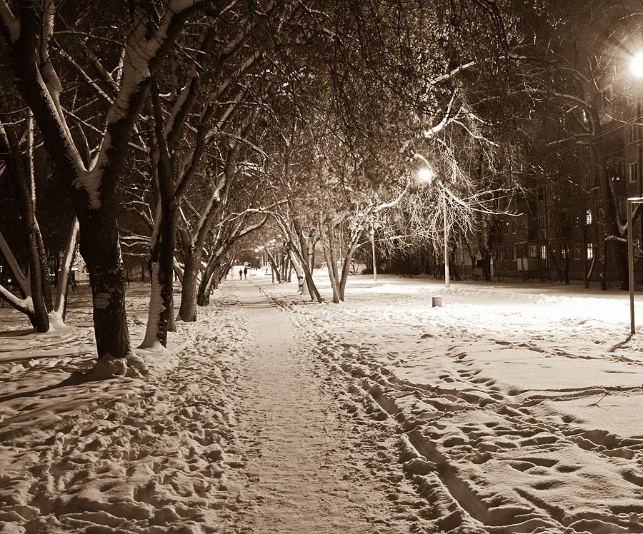 © Sergey Efimov - Ночная аллея