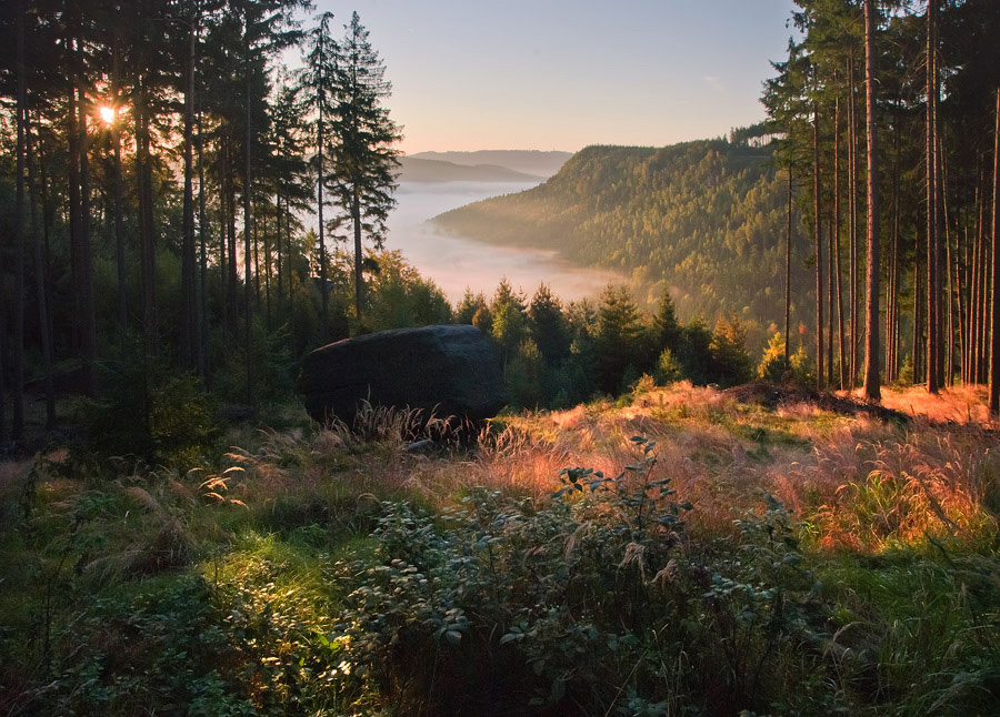 © vladimir shustov - Above the valley of Labe