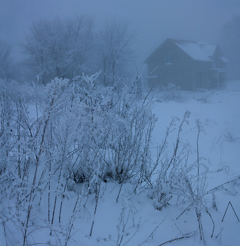 © Lena Cherkes - misty morning