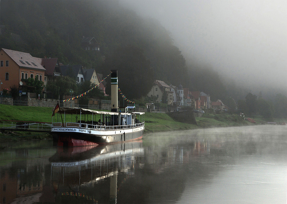 © vladimir shustov - Morning on the River