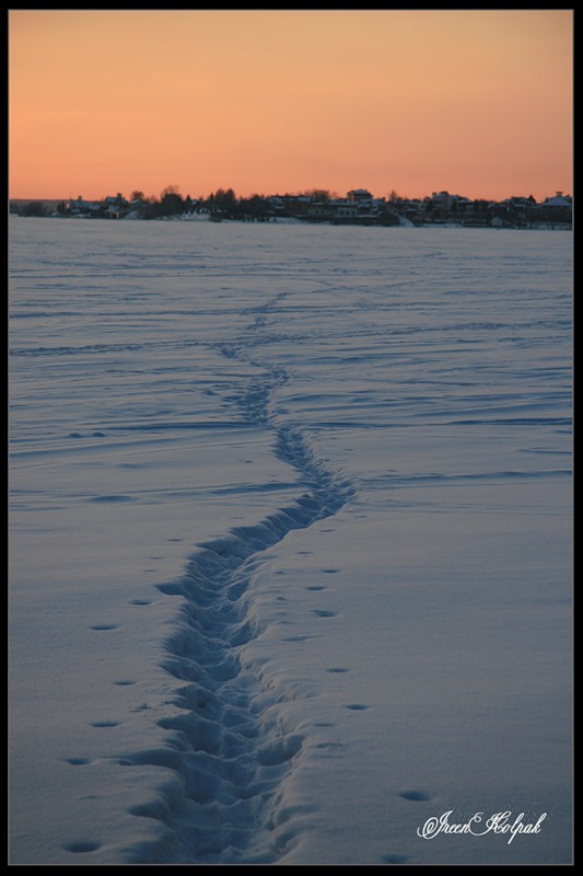 © Ireen Kolpak - Path in the Snow