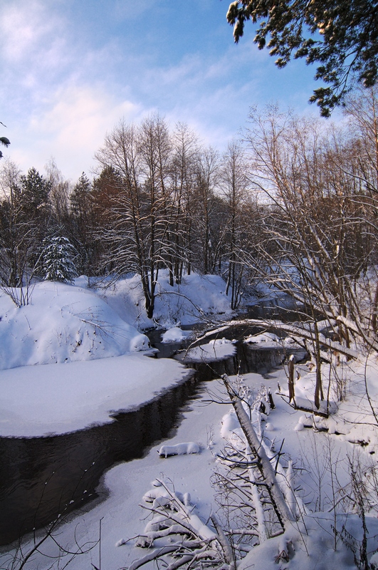 © Denis Chavkin - riv.Raven  in winter