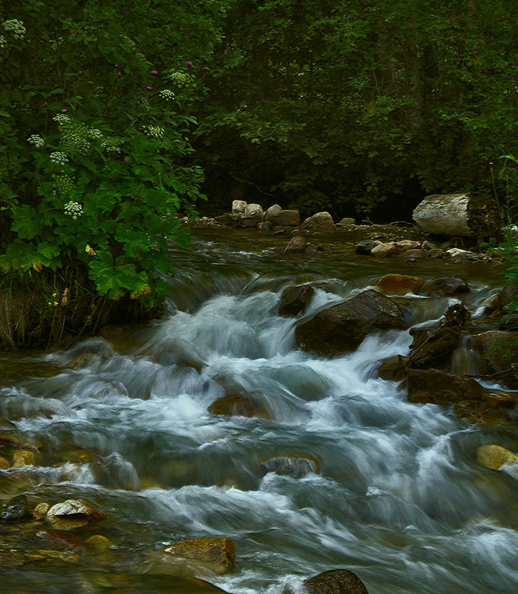 © alexej pavelchak - Water and Stones