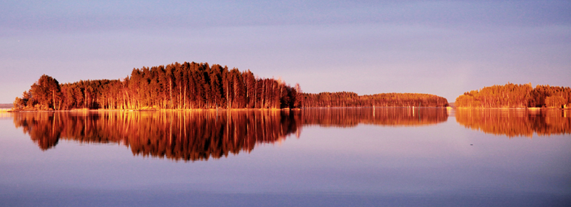 © Fedia Ordovsky - Sunset cardiogram (Кардиограммма заката)