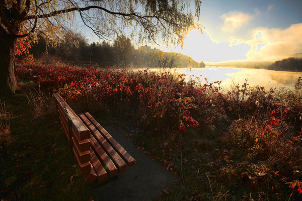 © Jean-Francois Dupuis - Bench