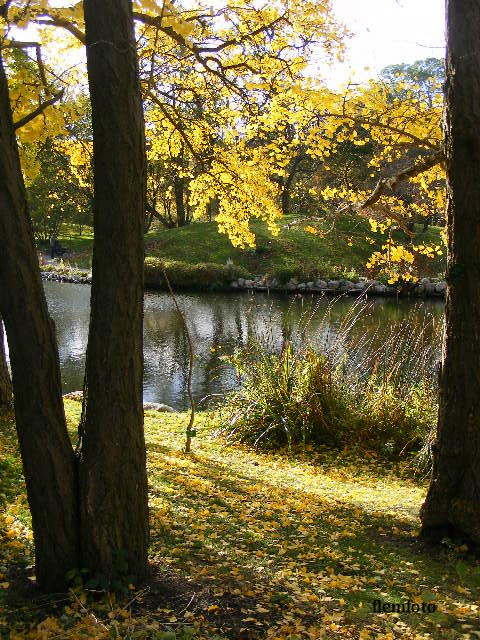 © flemming rasmussen - Autumn