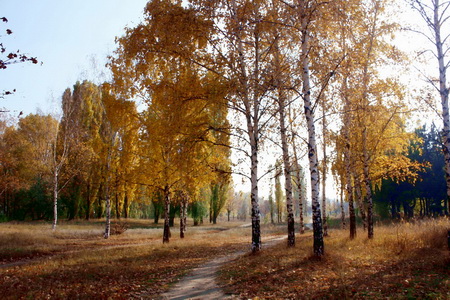 © Виктория Михаляк - осень