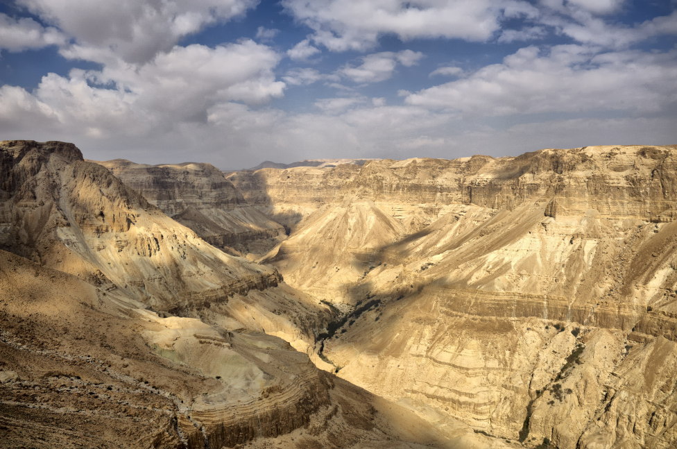 © Leonid Spektor - Judea desert