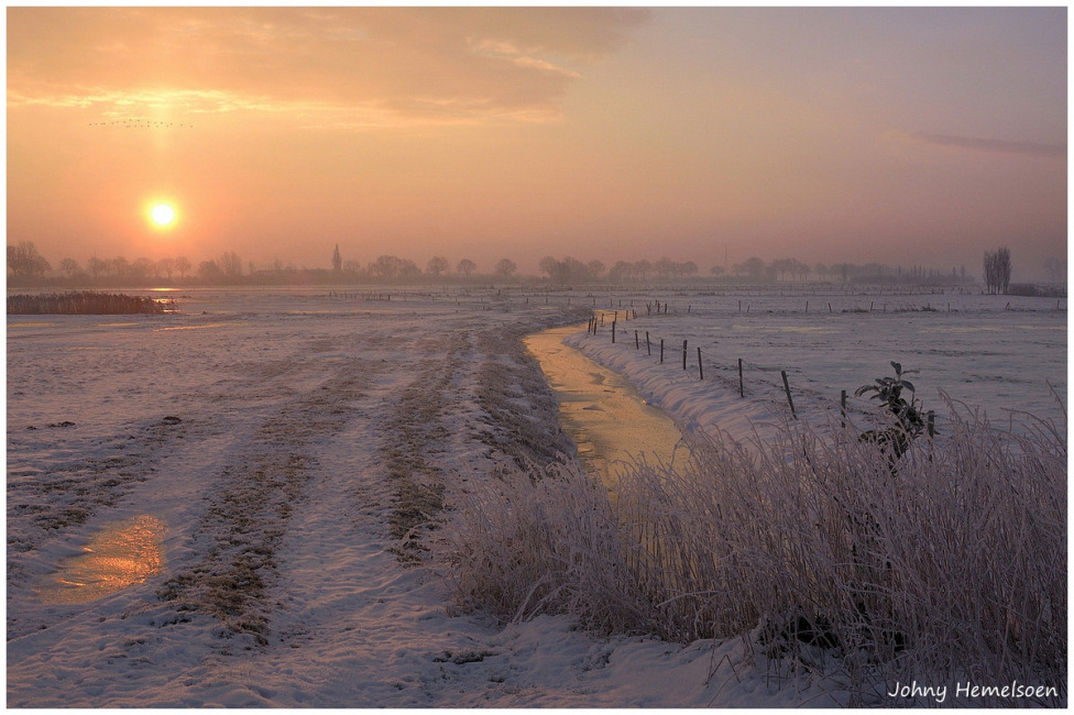 © johny hemelsoen - A cold morning.