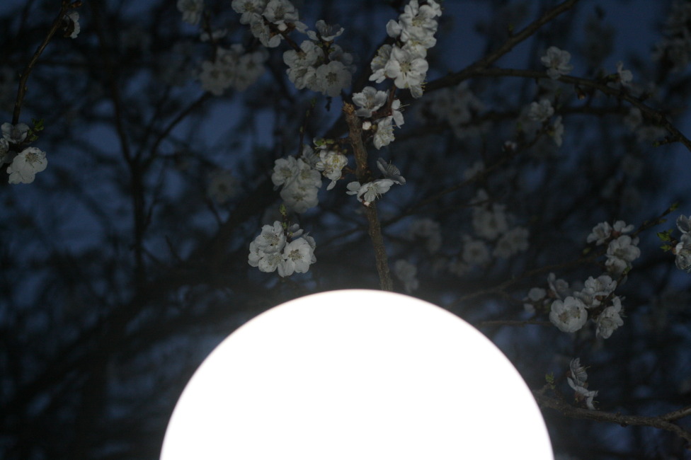 © George Markosyan - Lamp in the Night