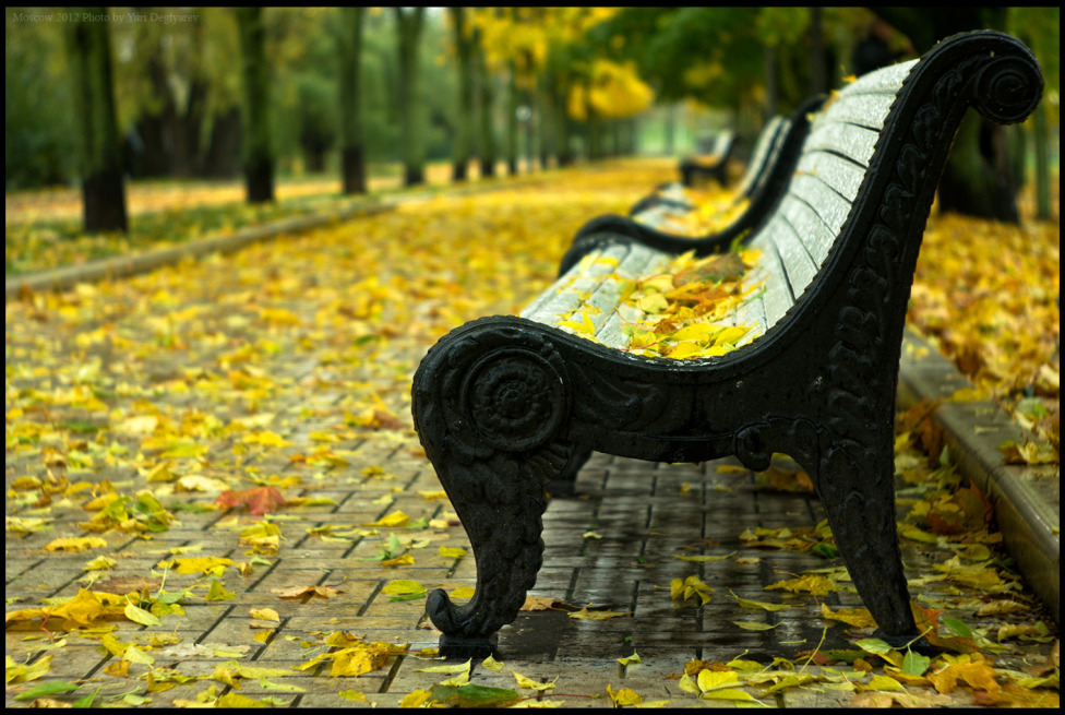 © Юрий Дегтярёв ( Yuri Degtyarev ) - Moscow. In the park of the Novodevichy Convent.