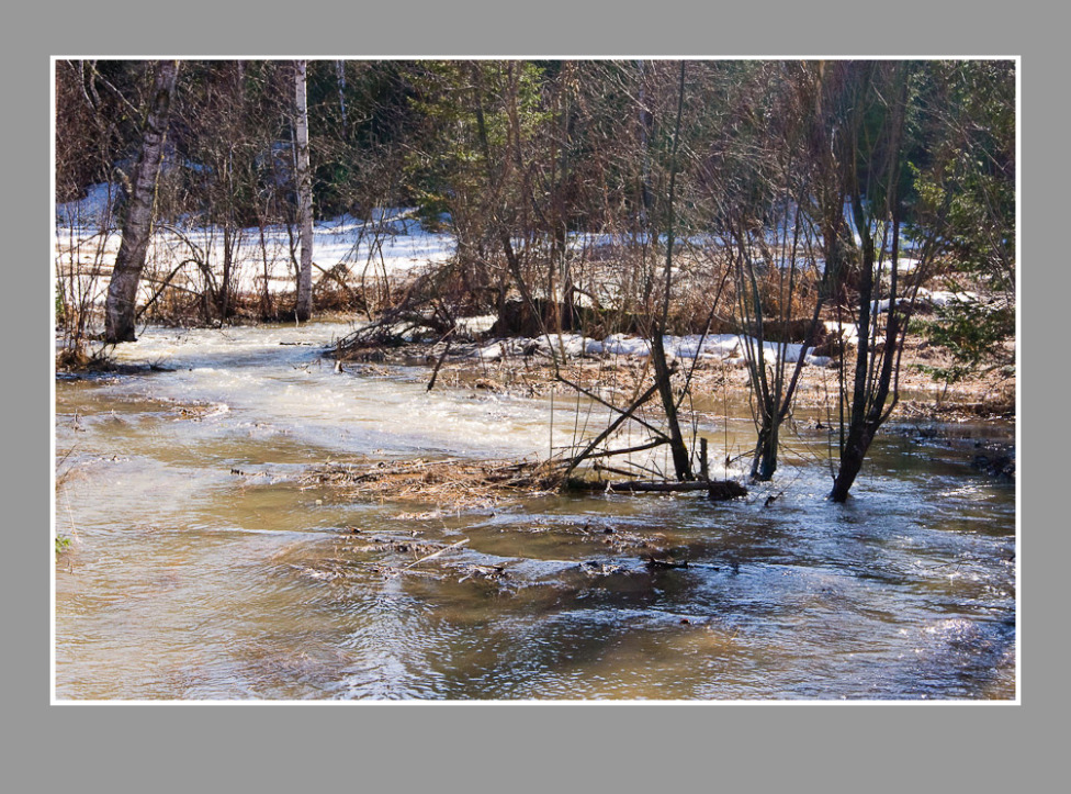 © Alexander Zholobov - Spring high water