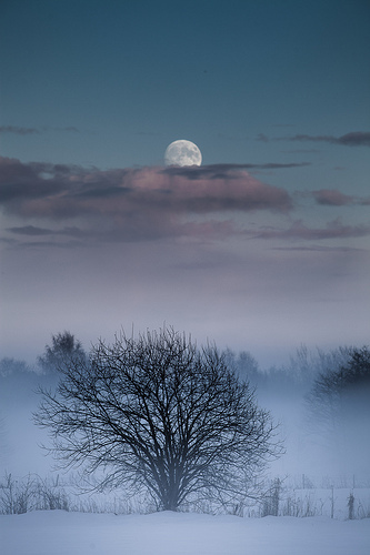 © Tore Heggelund - Moon