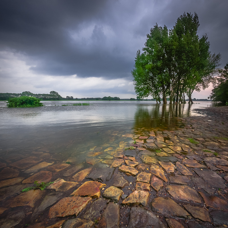 © Maximilian Buckup - ersten Sommertag am Elbufer #1