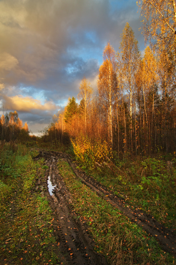 © Denis Chavkin - Autumn slush