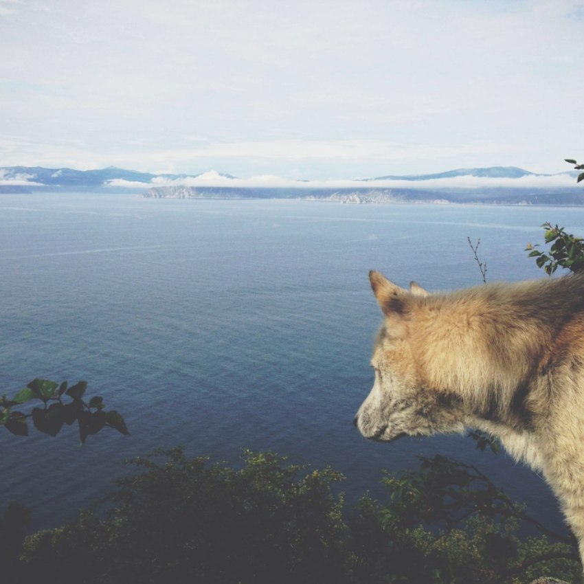 © Evgeny Trufanov - Look into the Sea