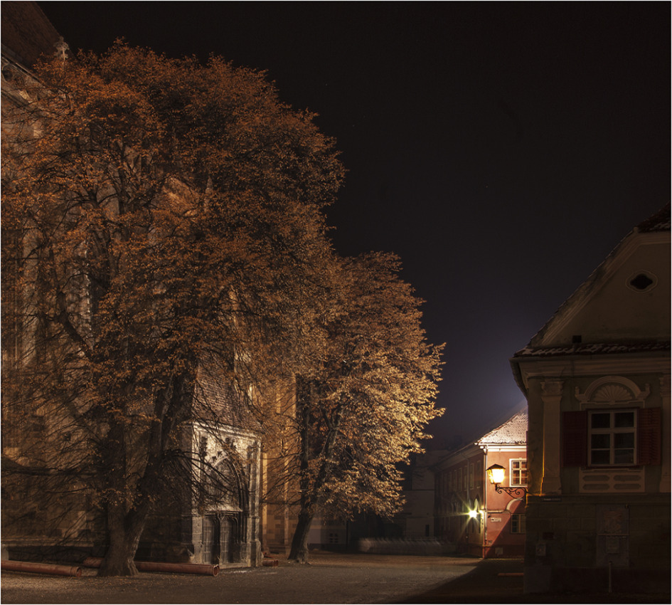 © Leonard Petraru - silence of the night